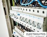 ELECTROLYTES anagram