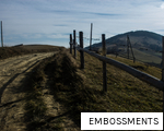 EMBOSSMENTS anagram