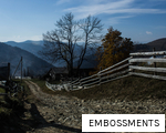 EMBOSSMENTS anagram