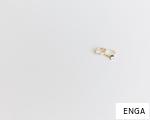 ENGA anagram