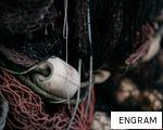 ENGRAM anagram