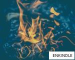 ENKINDLE anagram