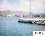 ENSEN anagram