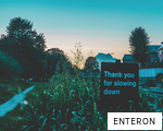 ENTERON anagram
