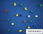 ENTRAINED anagram