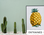 ENTRAINED anagram