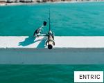 ENTRIC anagram