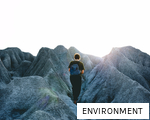ENVIRONMENT anagram