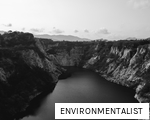 ENVIRONMENTALIST anagram