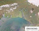 ENVIRONS anagram
