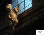 EOS anagram