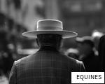 EQUINES anagram