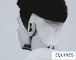 EQUINES anagram