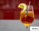 ERNS anagram
