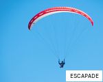 ESCAPADE anagram