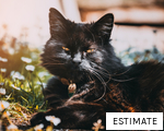 ESTIMATE anagram