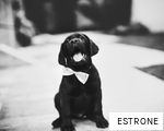 ESTRONE anagram