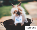 ESTRONE anagram