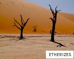 ETHERIZES anagram