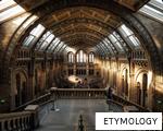 ETYMOLOGY anagram