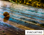 EVACUATING anagram