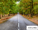 EXILING anagram