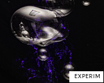 EXPERIM anagram