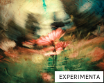 EXPERIMENTA anagram