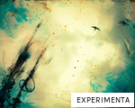 EXPERIMENTA anagram