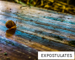 EXPOSTULATES anagram