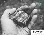 EXTANT anagram