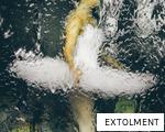 EXTOLMENT anagram