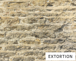 EXTORTION anagram