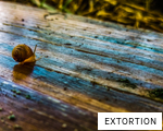 EXTORTION anagram