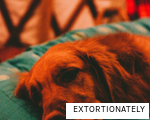 EXTORTIONATELY anagram