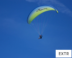 EXTR anagram