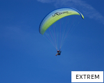 EXTREM anagram