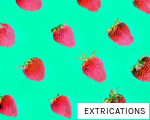 EXTRICATIONS anagram