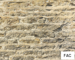 FAC anagram