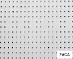 FACA anagram