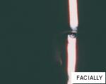 FACIALLY anagram
