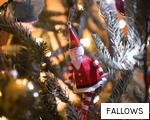FALLOWS anagram