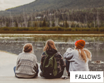 FALLOWS anagram