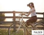 FALSER anagram
