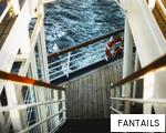 FANTAILS anagram