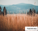 FARMING anagram