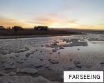 FARSEEING anagram