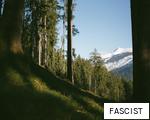 FASCIST anagram