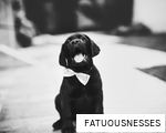 FATUOUSNESSES anagram