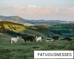 FATUOUSNESSES anagram